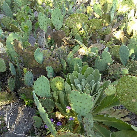 Meet your Posher, Donna - Picture 5 of 6